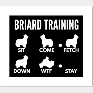 Briard Training Berger de Brie Tricks Posters and Art